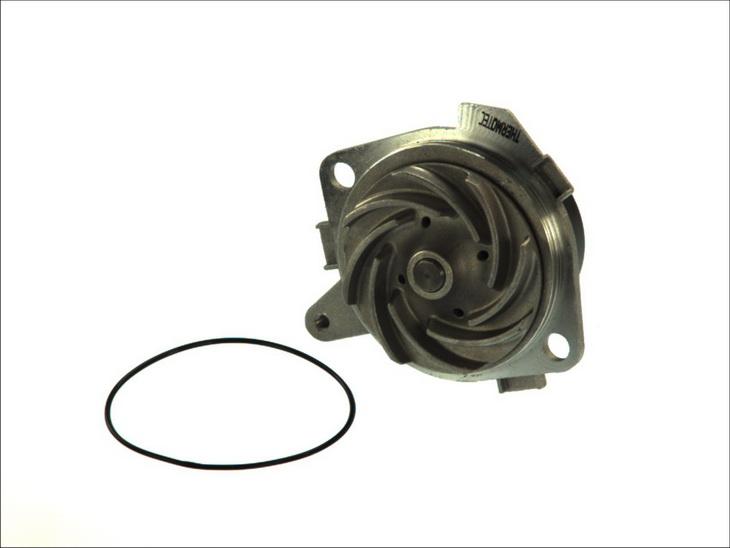 Thermotec D1D018TT — Pompa wodna
