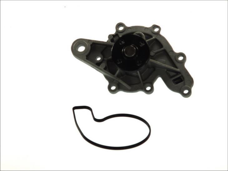 Thermotec D1M043TT — Pompa wodna
