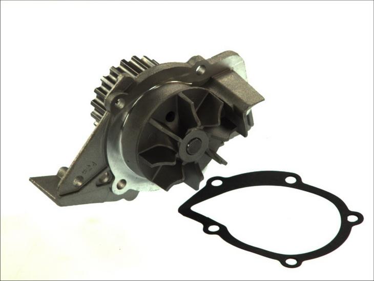 Thermotec D1P045TT — Pompa wodna