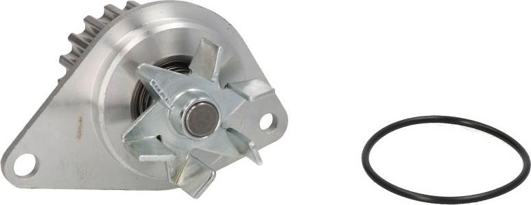 Thermotec D1P043TT — Pompa wodna