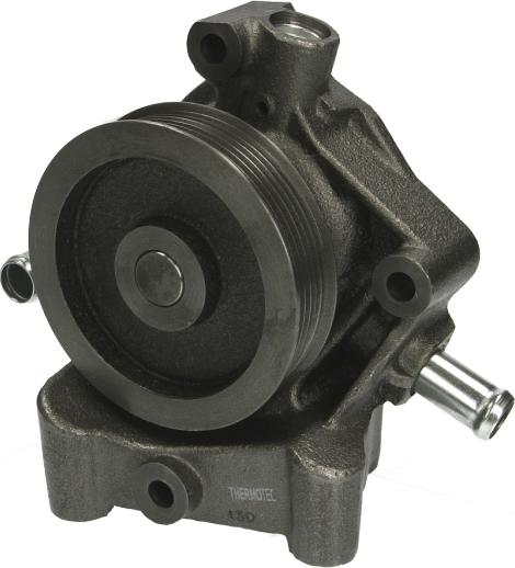 Thermotec D1P047TT — Pompa wodna