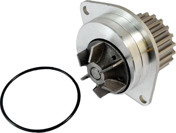 Thermotec D1P019TT — Pompa wodna
