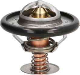 Thermotec D2C002TT — Termostat, środek chłodzący
