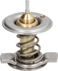 Thermotec D2M002TT — Termostat, środek chłodzący