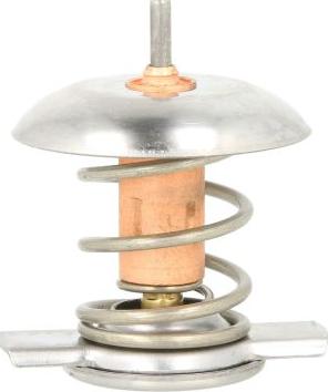 Thermotec D2X006TT — Termostat, środek chłodzący
