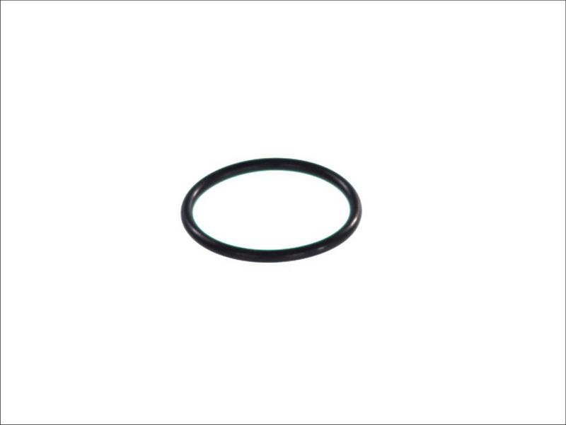 Topran 100 576 - ORING POD POMPE BENZ.VW.AUDI 1.0.1.3 85-