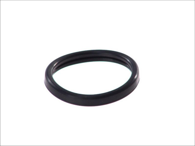 Topran 302 261 — Uszczelka, termostat