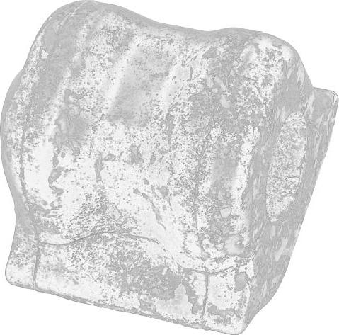 TOYOTA 48815-42110 - GUMA STAB. TOYOTA P. RAV4 06- LE