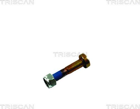 Triscan 8500 16861 — Zestaw montażowy, wahacz