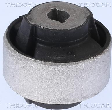 Triscan 8500 10887 — Łożyskowanie, wahacz