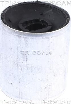 Triscan 8500 118008 — Łożyskowanie, wahacz