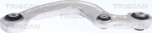 Triscan 8500 295212 — Wahacz, zawieszenie koła