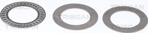 Triscan 8500 24925 — Łożysko walcowe, mocowanie amortyzatora