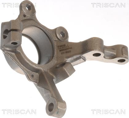Triscan 8500 25702 — Sworzeń zwrotnicy, zawieszenie koła