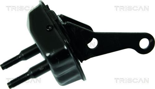 Triscan 8500 28534 — Wspornik, korpus osi