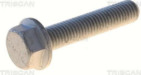 Triscan 8501 0549 — Sworzeń mocujący, wahacz poprzeczny