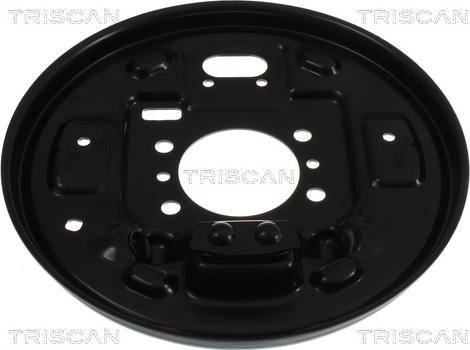 Triscan 8125 43213 — Panel rozbryzgiwujący, tarcza hamulcowa