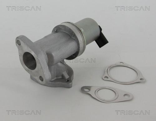 Triscan 8813 43002 — Zawór AGR