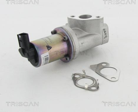 Triscan 8813 43021 — Zawór AGR