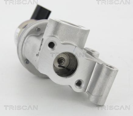 Triscan 8813 43021 - ZAWÓR EGR HYUNDAI 1.4CRDI-1.6CRDI I20-I30-CEED 08-