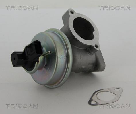 Triscan 8813 16012 — Zawór AGR