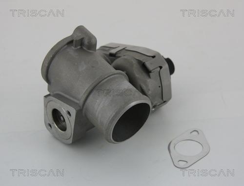 Triscan 8813 16101 — Zawór AGR