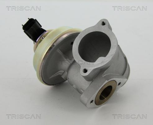 Triscan 8813 16102 — Zawór AGR