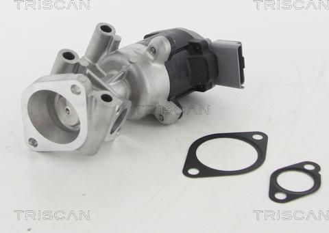 Triscan 8813 10009 — Zawór AGR