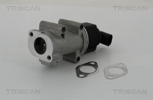 Triscan 8813 10005 — Zawór AGR