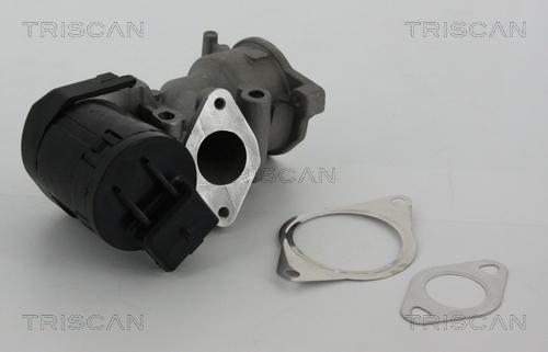 Triscan 8813 10001 — Zawór AGR