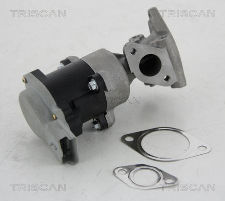 Triscan 8813 10008 — Zawór AGR