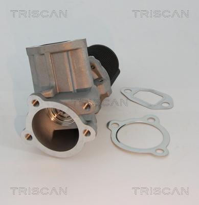 Triscan 8813 10003 - ZAWÓR EGR FIAT 1.3M-JET