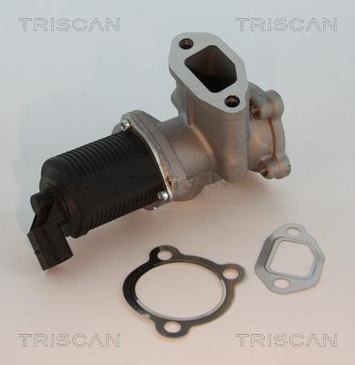 Triscan 8813 10003 - ZAWÓR EGR FIAT 1.3M-JET