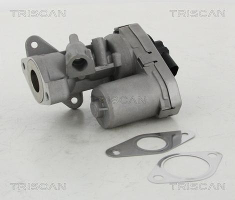Triscan 8813 10002 — Zawór AGR