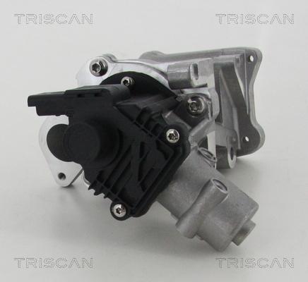 Triscan 8813 10007 — Zawór AGR