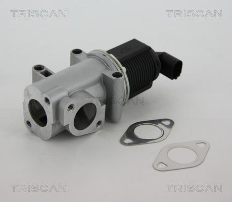 Triscan 8813 10015 — Zawór AGR