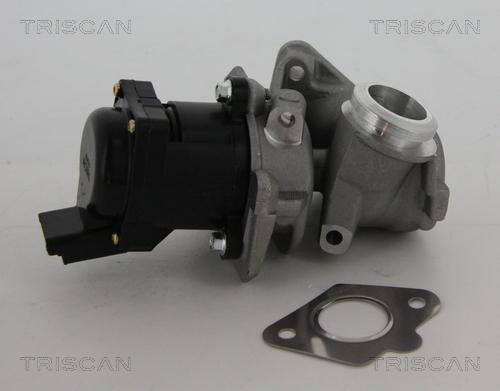 Triscan 8813 10010 — Zawór AGR
