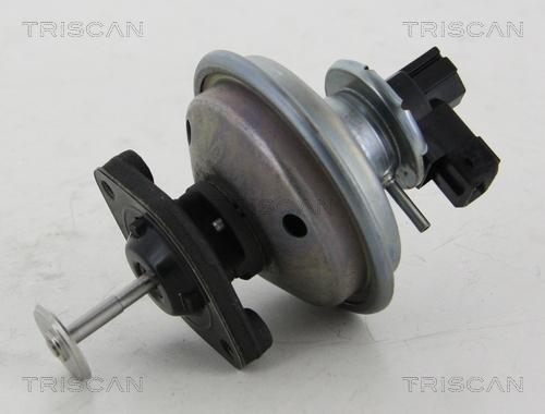 Triscan 8813 11002 — Zawór AGR