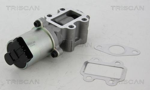 Triscan 8813 13102 — Zawór AGR