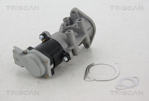 Triscan 8813 17008 — Zawór AGR