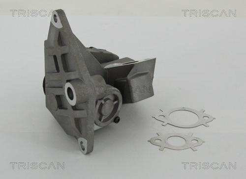Triscan 8813 29047 — Zawór AGR