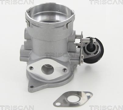 Triscan 8813 29056 — Zawór AGR