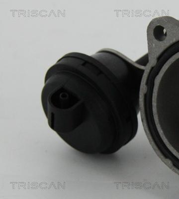 Triscan 8813 29057 - ZAWÓR EGR VW 1.9TDI PASSAT-A4