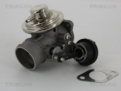 Triscan 8813 29057 - ZAWÓR EGR VW 1.9TDI PASSAT-A4