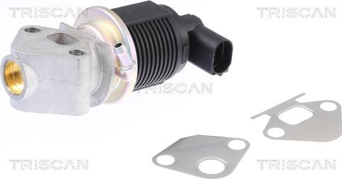 Triscan 8813 29009 — Zawór AGR