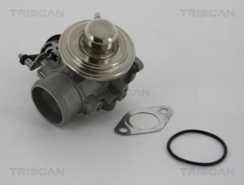 Triscan 8813 29001 — Zawór AGR