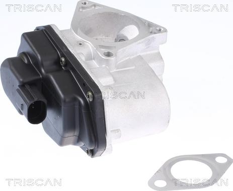 Triscan 8813 29003 — Zawór AGR