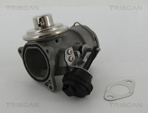 Triscan 8813 29036 — Zawór AGR