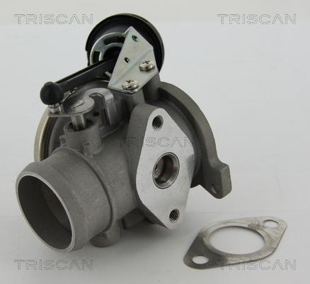 Triscan 8813 29022 — Zawór AGR