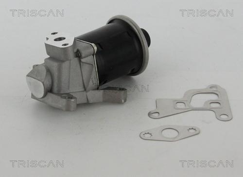 Triscan 8813 29100 — Zawór AGR
